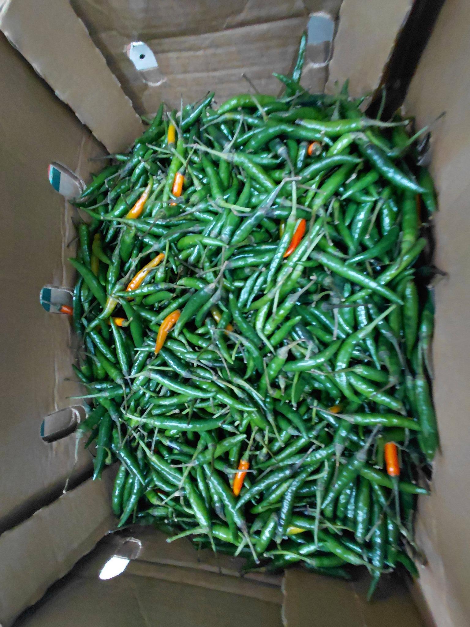 অনেক দেশিয় শাক সব্জী আসছে এইমাত্র।  viele frische gemüse gleich angekommen.