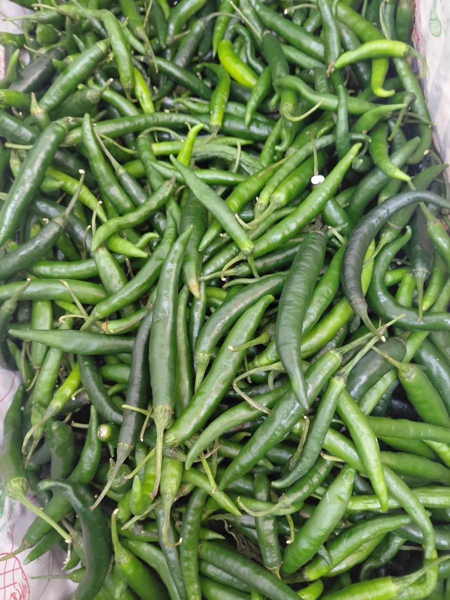 রুপালী আম,কাঠাল,পুই শাক,লাল শাক,কলমি শাক সহ নানা রকম শাক সবজি আসছে।viele frische gemüse und obst angekommen image 3