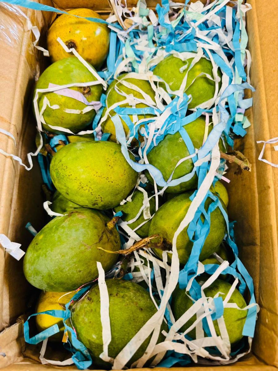 খুবই সীমিত নতুন ফল এসেছে image 3