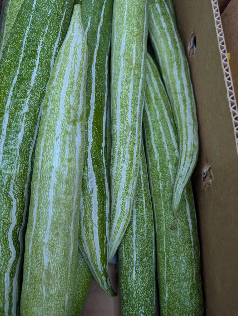New vegetables image 2