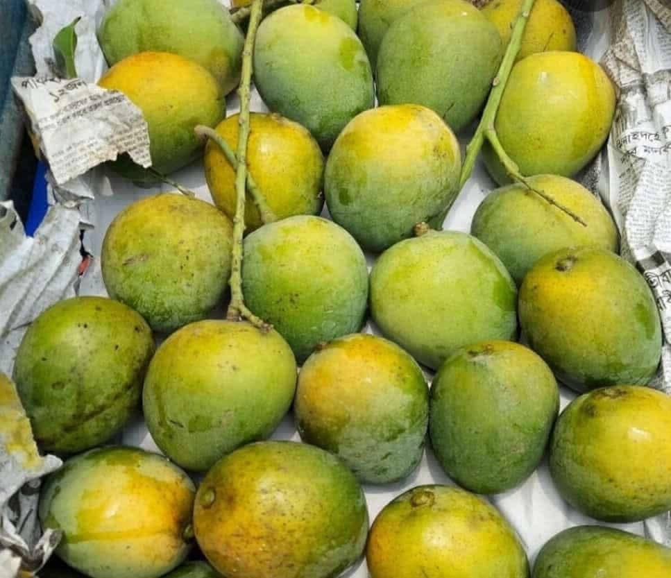 আগামীকাল নতুন সবজি ও ফল আসবে image 2