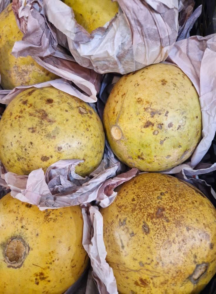 অনেক দেশিয় শাক সব্জী আসছে এইমাত্র।  viele frische gemüse gleich angekommen.