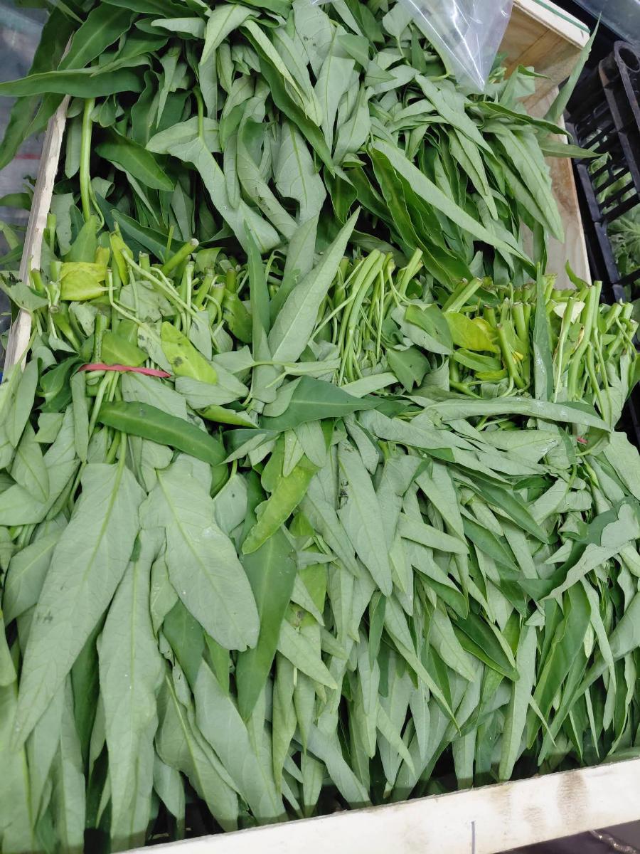 রুপালী আম,কাঠাল,পুই শাক,লাল শাক,কলমি শাক সহ নানা রকম শাক সবজি আসছে।viele frische gemüse und obst angekommen image 6