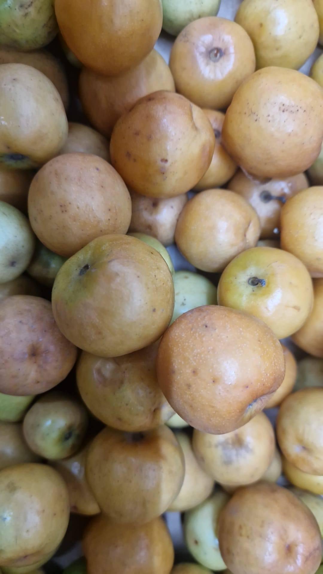 অনেক দেশিয় শাক সব্জী আসছে এইমাত্র।  viele frische gemüse gleich angekommen.