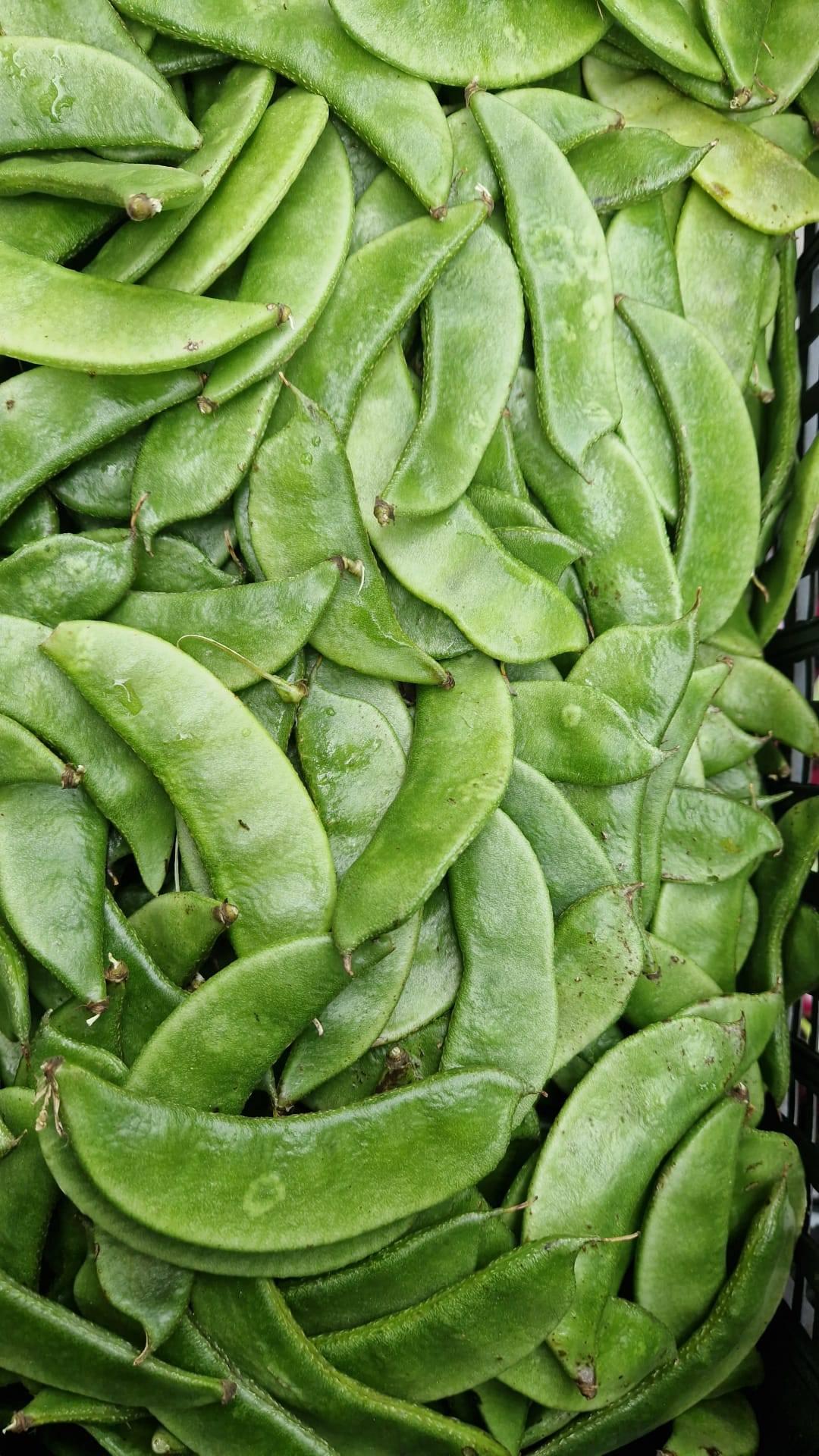 অনেক দেশিয় শাক সব্জী আসছে এইমাত্র।  viele frische gemüse gleich angekommen.