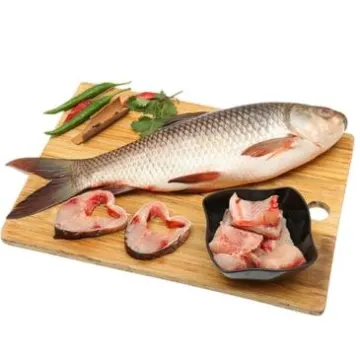 Rohu Fish- Rui Mach- Rahu Fish