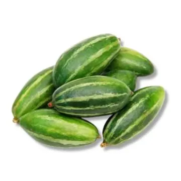 Pointed Gourd - Potol - Spitzkürbis