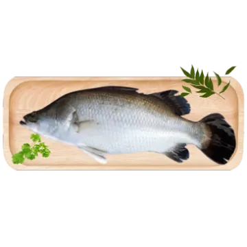Korallenfisch- Koral Mach