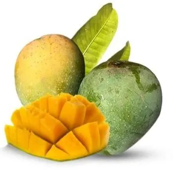 Himsagor Aam - Himsagor-Mango
