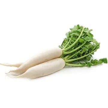Radish- Mula - Rettich
