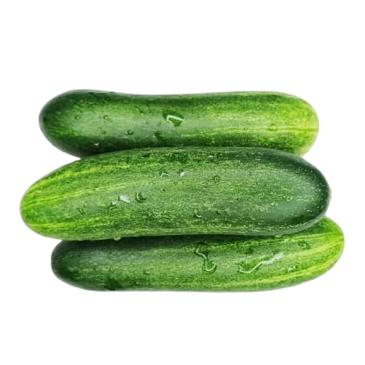 শশা	Cucumber	Gurke