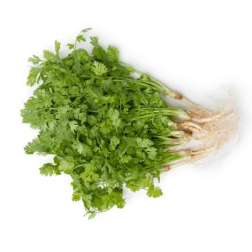 ধনেপাতা	Coriander leaves	Korianderblätter